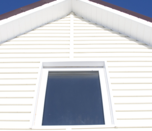 Vinyl Siding Color