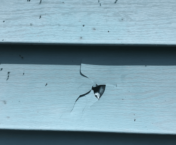 Siding Damage Signs, Causes & Repair Tips for Homeowners