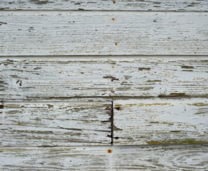 Wood Siding Damage